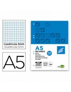Recarga A5 Quadriculado 100 Folhas 6 Furos