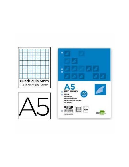 Recarga A5 Quadriculado 100 Folhas 6 Furos