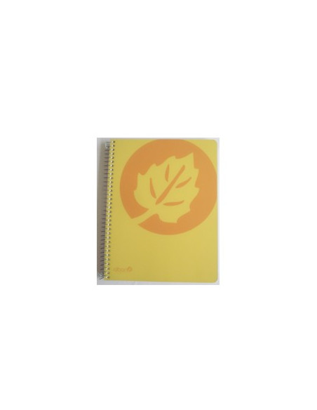Caderno Espiral Polipropileno A5 Quad c/Furos 120Fls