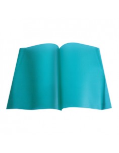 Classificador Plastico Transparente Durable 2919 Verde - 1un