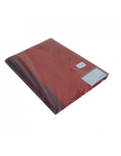 Classificador Plast Vermelho Capa Transp c/Ferragem Pack 10