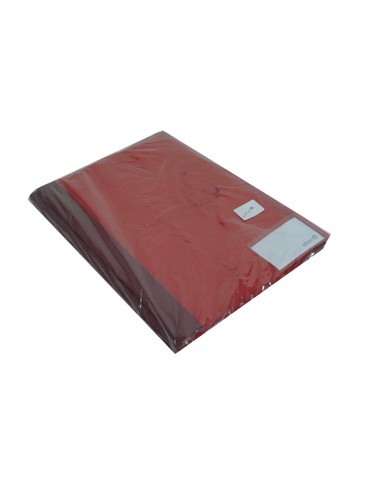 Classificador Plast Vermelho Capa Transp c/Ferragem Pack 10