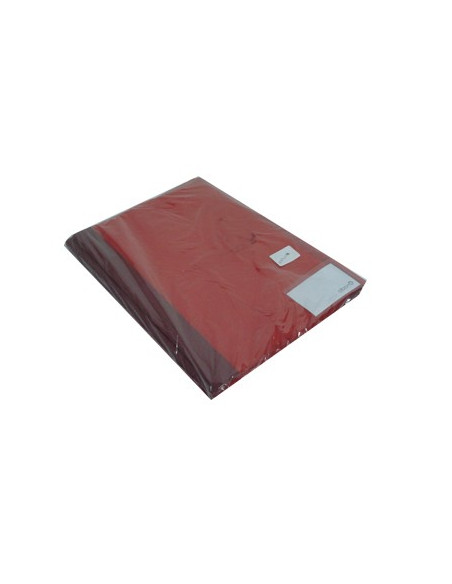 Classificador Plast Vermelho Capa Transp c/Ferragem Pack 10