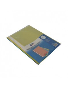 Classificador Plastico Capa Transp c/Ferragem Pack 5 sortido