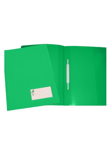 Classificador Plast.Capa Opaca Roma263.02 Verde-Pack 10