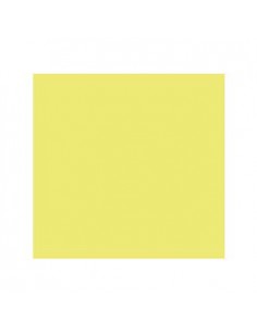 Cartolina 240gr 25Folhas 50x65cm Canson Iris Kiwi