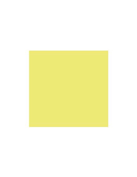 Cartolina 240gr 25Folhas 50x65cm Canson Iris Kiwi