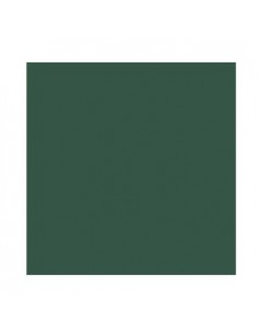 Cartolina 185gr 1 Folha 50x65cm Canson Iris Verde Amazonas
