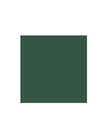 Cartolina 185gr 1 Folha 50x65cm Canson Iris Verde Amazonas