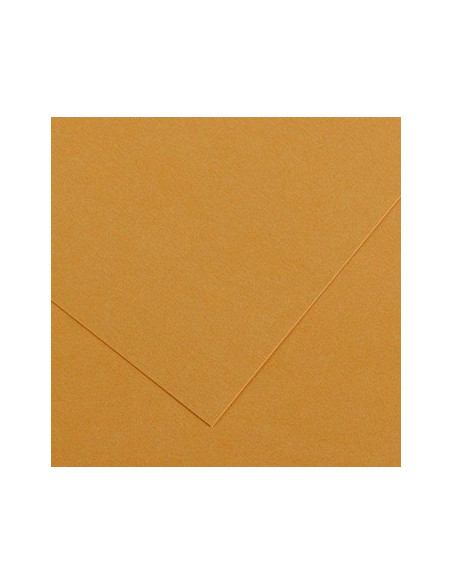 Cartolina 185gr 1 Folha 50x65cm Canson Iris Couro