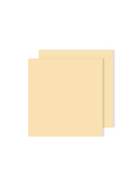 Cartolina 240gr 25Folhas 50x65cm Canson Iris Creme