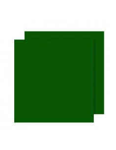 Cartolina 240gr 25Folhas 50x65cm Canson Iris Verde Amazonas