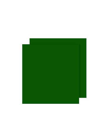 Cartolina 240gr 25Folhas 50x65cm Canson Iris Verde Amazonas