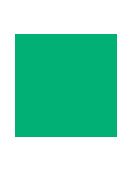 Cartolina 185gr 1 Folha 50x65cm Canson Iris Verde Hortela