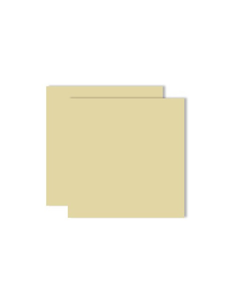 Cartolina 180gr 1 Folha 50x65cm Castanho Camurca