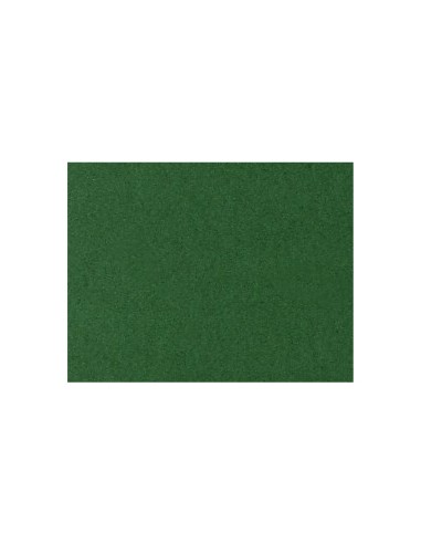 Cartolina 180gr 1 folha 50x65cm Verde Escuro (3C)