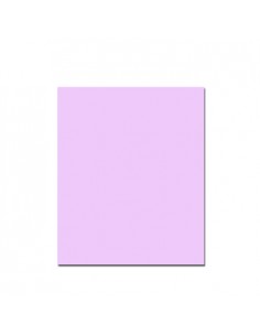 Cartolina 250gr 1 folha 50x65cm Rosa (7)