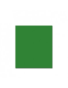 Cartolina 250gr 1 folha 50x65cm Verde (3)