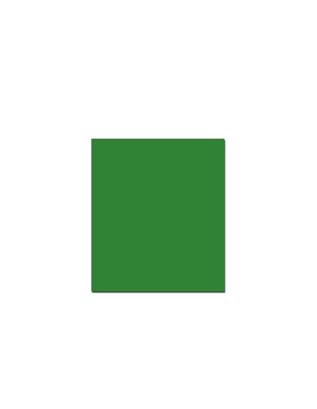 Cartolina 250gr 1 folha 50x65cm Verde (3)