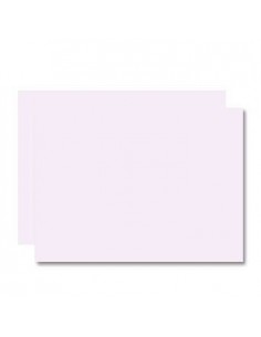 Cartolina 250gr 1 folha 50x70cm Branco Mate verso Cinza 1un