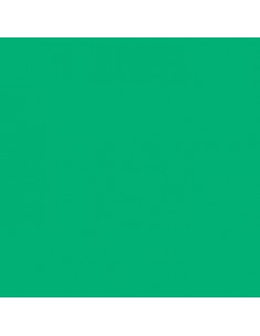 Cartolina 185gr 50 Folhas A4 Canson Iris Verde Hortela