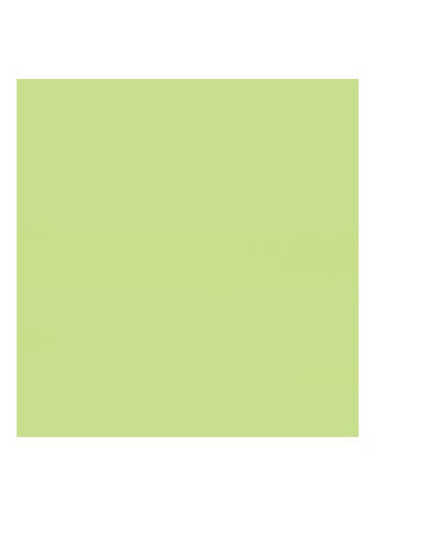 Cartolina 180gr 1 Folha A4 Verde Suave (3A)