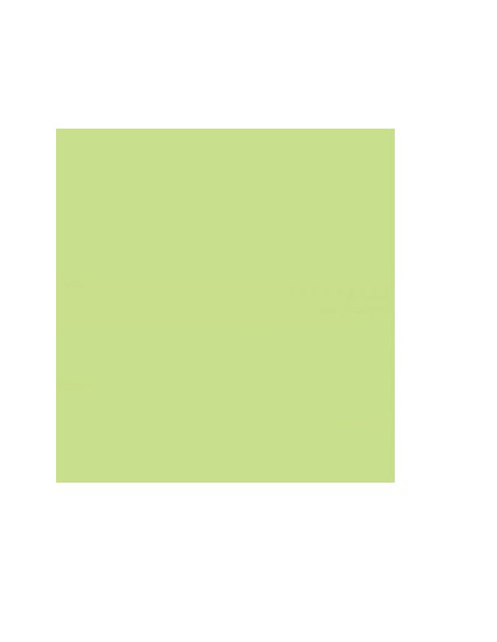 Cartolina 180gr 1 Folha A4 Verde Suave (3A)