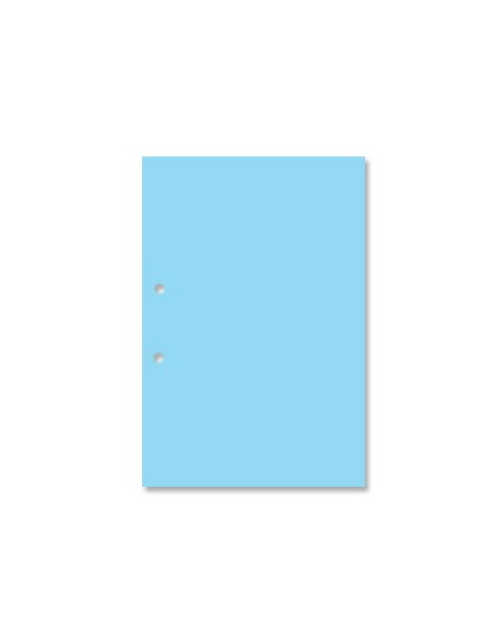 Cartolina 250gr 1 Folha 22x32cm Azul 5A c/Furos