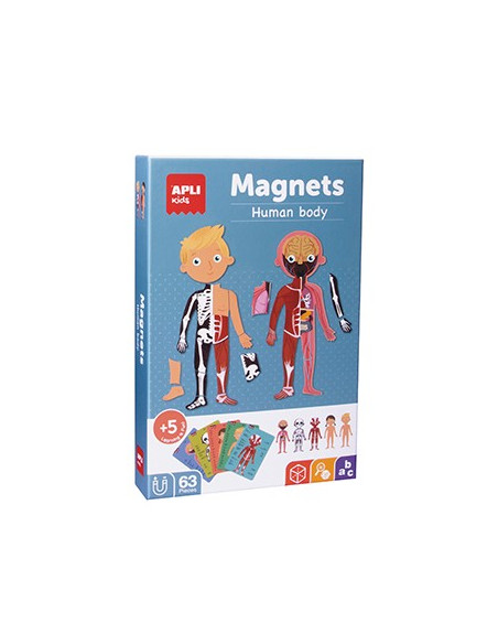 Jogo Educativo Magnético Apli Corpo Humano 63 Peças