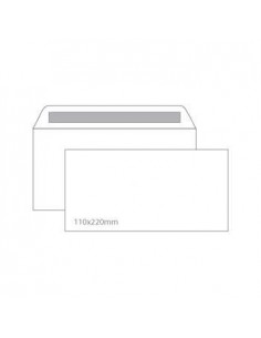 Envelopes 110X220mm s/janela Cx 25un Autodex