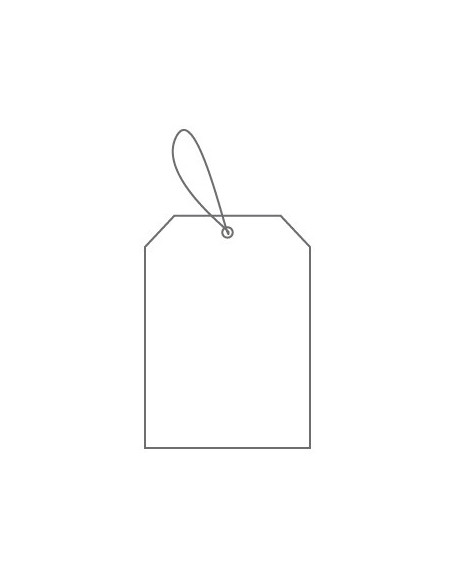 Etiqueta 28x43mm c/Fio p/Pendurar Branca Cx500 (0391)