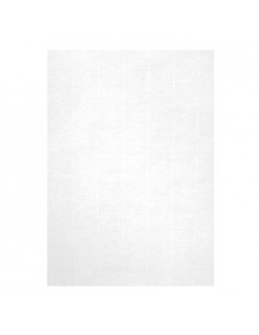 Papel Apli 12368 100gr A4 Verge Branco Emb. 100fls