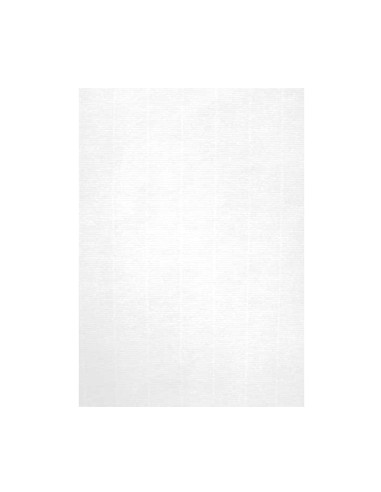 Papel Apli 12368 100gr A4 Verge Branco Emb. 100fls