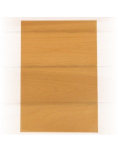 Papel Vegetal  A4 100gr Blister 10 Folhas Cor Laranja