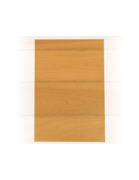 Papel Vegetal  A4 100gr Blister 10 Folhas Cor Laranja