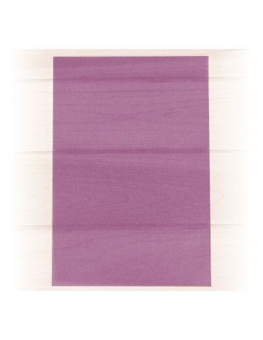 Papel Vegetal  A4 100gr Blister 10 Folhas Cor Roxo