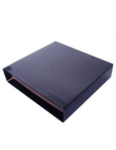Caixa Cartao Micro p/Pasta Arquivo 310x290 L60 (Azul)