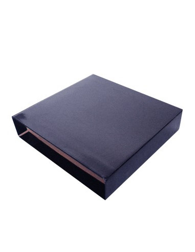 Caixa Cartao Micro p/Pasta Arquivo 310x290 L60 (Azul)