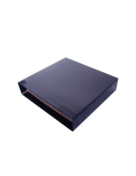 Caixa Cartao Micro p/Pasta Arquivo 310x290 L60 (Azul)
