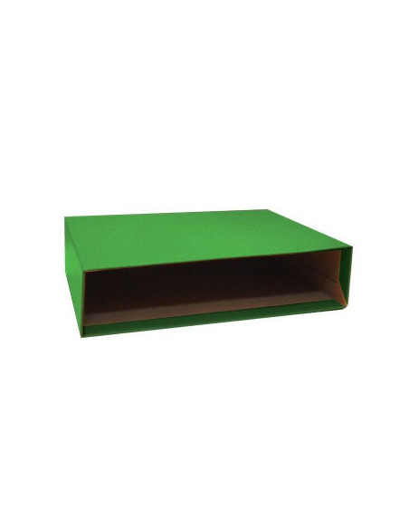Caixa Cartao Micro p/Pasta Arquivo 310x290 L80 (Verde)