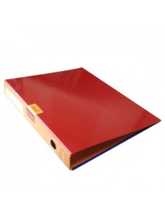 Pasta Arquivo Simple Colours L/E Din Sortido