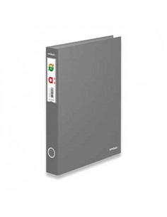 Pasta Arquivo Cor Lisa Ambar L/E Din Cinza