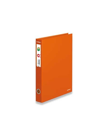 Pasta Arquivo Cor Lisa Ambar L/E Din Laranja