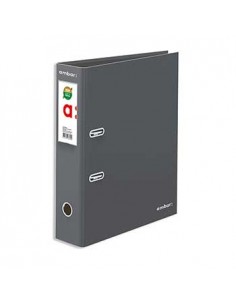 Pasta Arquivo Cor Lisa Ambar L/L Din Cinza