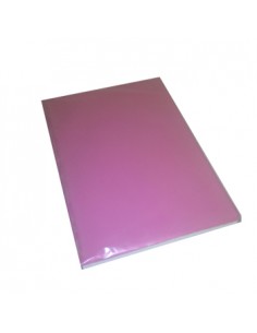 Bloco Reunioes  A4 176C c/Recarga Pautado 22x32cm Sotido 1un