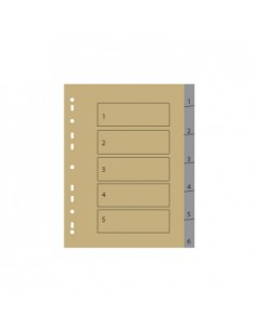 Separadores A4 Plastico Numerados (1 a 6) 1un