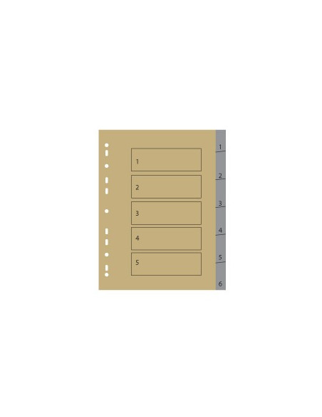 Separadores A4 Plastico Numerados (1 a 6) 1un