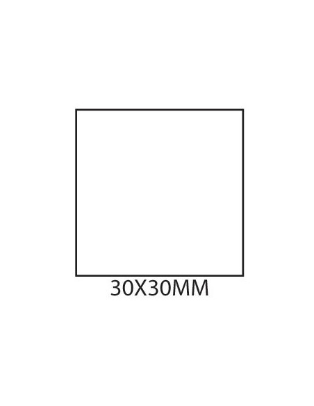 Etiquetas 30x30 Pack de 12 Folhas Brother SC-2000USB