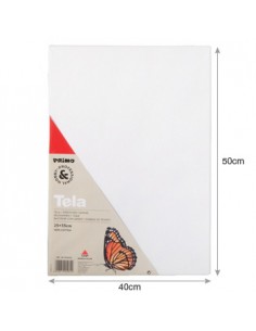 Tela Moldura Madeira 40X50cm 1un