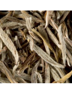 Cha a Granel Dammann Jasmin Yin Zhen 500g